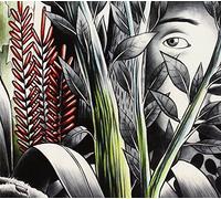 DOMINIQUE A - VERS LES LUEURS