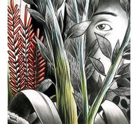 Dominique a - Vers Les Lueurs