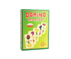 Domino Immagine Frutta Puzzle Gioco ABINO