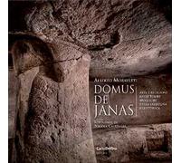 Domus de Janas. Arte e religione nelle tombe ipogeiche della Sardegna preistoric