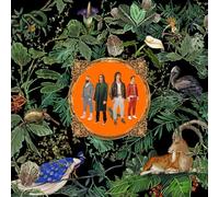 Don Broco Amazing Things (CD) Album