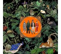 Don Broco Amazing Things (CD)