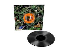 Don Broco Amazing Things (Vinyl LP) 12" Album