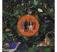 Don Broco - Amazing Things