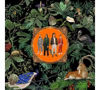 Don Broco Amazing Things (CD)
