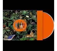 Don Broco Amazing Things (CD) Album