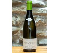 Don Carlino 2021 Pecorino Colline Pescaresi IGT De Fermo 75c 14% Abruzzo Bianco