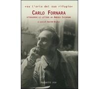 Don Chisciotte. Ediz. illustrata