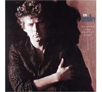 Don Henley - Building The Perfect Beast - Cd
