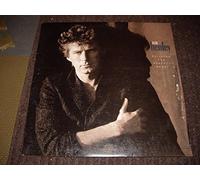 Don Henley - Building The Perfect Beast - Don Henley LP