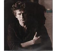 DON HENLEY - building the perfect beast LP