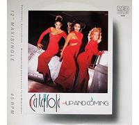 Don Pablo's Animals - Venus