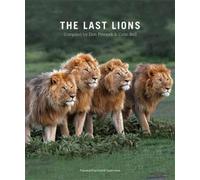 Don Pinnock The Last Lions (Tascabile)