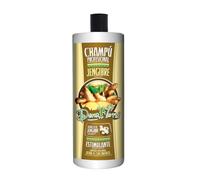 DONA FLORA - Champú Stimolante Zenzero | Capelli Forti e Rivitalizzati | Formula Vegetale Senza Parabeni | Adatto a Tutti i Tipi di Capelli | Pulizia Profonda e Lucentezza, -1 kg