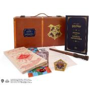 Donald Lemke Harry Potter: Hogwarts Trunk Collectible Set (Mixed Media Product)