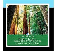 Donald Quan - Spirit Earth: Relaxing Native Flute
