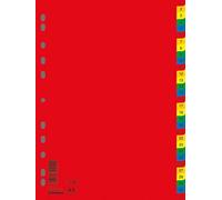 Divisori DONAU PP A4 230 x 297 mm 1-31 31 fogli colori assortiti/Archiviazione documenti/Tipo A4 / Gente-No Descrizione Scheda/Index-31-I/Materiale-PP/Colori Assortiti/Formato A4
