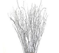 DongArts Rami decorativi di betulla, steli di brich per decorazioni nuziali, ramoscelli secchi per decorazioni natalizie (argento metallizzato)