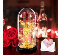 DONGQI Rose Eternelle sotto campana, la bella e la bestia rosa, con luminoso LED e carte, cupola in vetro e base in legno, regali per San Valentino, festa della mamma giorno delle donne