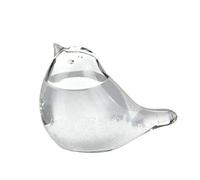Dongzhi Storm glas per previsioni del tempo, tempesta in vetro a forma di uccello, vetro meteorologico Storm Glass - cristallo stazione meteo creativa previsioni meteo per compleanno Natale regalo