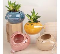 Doni Bomboniere Battesimo 4PZ Porta Piante Palloncino A Forma Vaso Originali Regalo Matrimonio Compleanno Prima Comunione Santa Cresima Diciottesimo di Cuore Colorati con Frasi Chi Sogna Impara