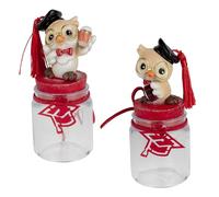 Doni Bomboniere Laurea 1 pz Barattolo con Gufetto Laureato Tocco E Nappina Rossa Assortito in Deu Modelli Matita O Libro tra Le Mani sul Colllo del Ãˆ Posto Un Stilizzato Rosso Idee Regalo Complete