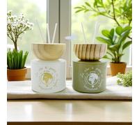 Doni Bomboniere Matrimonio 1 pz Profumatore in Ceramica di Colore Verde e Bianco con Mappamondo Sposi Nozze Anniversario Bacchette e Scatola Incluse Diffusore Economico Idea Regalo