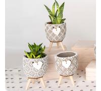 Doni Bomboniere Prima 3PZ Vaso per Piante in Terracotta Vasi Romantiche Pensierini Comunione Santa Cresima Matrimonio Anniversario Grasse con Decori Assortiti Cuoricino Spago E Piedistallo Legno Idee