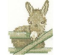 Donkey count Evenweave 28 - Kit per ricamo a punto croce