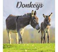 Donkeys 2025 Square Wall Calendar | Animal, Wildlife Calendar