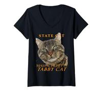 Donna Massachusetts Territory Cat L'affascinante gatto soriano Maglietta con Collo a V