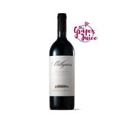DONNA OLIMPIA 1898 MILLEPASSI 2013 VINO ROSSO BOLGHERI SUPERIORE DOC TOSCANA