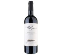 Donna Olimpia Millepassi Bolgheri Superiore DOC 2023 0,75 l