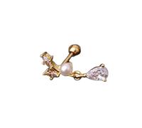 Donna Orecchini D'Argento, 1 Pezzo Piuma Di Cactus Lascia Luna Scorpione Pesce Zircone Rame Stud Orecchini Classici Alla Moda Femminile Piercing Gioielli Regali per Fidanzata, Moglie, Sorella, Figlia
