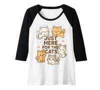 Donna Solo Qui per i Gatti Kawaii Kawaii Kitten Lover Funny Cat Mamma Dad Maglia con Maniche Raglan