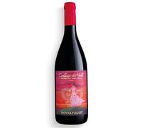 Donnafugata Contesa Dei Venti 2020, Vittoria DOC Nero D’Avola, Vino Rosso Sicilia, 13% vol, 750 ml
