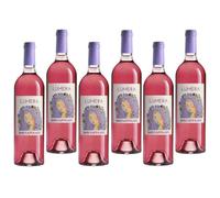 DONNAFUGATA LUMERA 2023 SICILIA DOC VINO ROSATO 75 CL 6 BOTTIGLIE