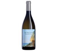 Etna Bianco DOC Sul Vulcano 2020 Donnafugata - Vini