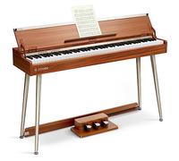 Donner DDP-80 PLUS Pianoforte Digitale 88 Tasti Pesati, Pianoforte Elettrico per Casa, Supporto USB-MIDI e Cuffie, Coperchio Semiaperto, Pedale Triplo in Metallo, Alimentatore