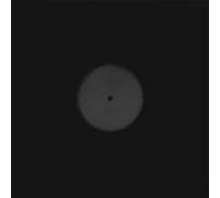 Donny McCaslin - KID