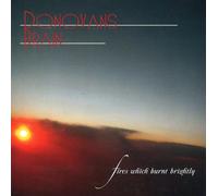 Donovan's Brain Fires Which Burnt Brightly (CD)