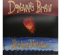 Donovan's Brain - Heirloom Varieties