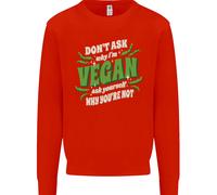 Don'T Ask Why IN per Vegani Bambini Felpa Maglione
