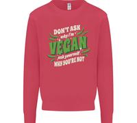 Don'T Ask Why IN per Vegani Bambini Felpa Maglione