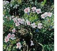 don't ask yourself why