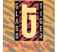 Don't forget me (When i'm gone) / Ancient evenings / 1C 006-20 1305 7