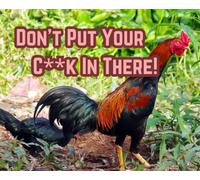Don't Put Your C**K In There!: The Hilarious Picture Guide | Funny Gift Book
