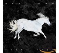 DOOL HERE NOW THERE THEN (LIMITED EDITION) (W/BOOK) CD NUOVO
