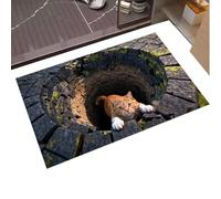 Door Mat - Optical Illusion Area Rug Bath Mat | Non Slip Easy-Clean | Easy Clean Front Door Mats Non Slip For Bedroom Study Sofa Side Dorm Apartment Family Gathering Housewarming Birthday