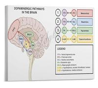 Dopamine Chemical Formula Molecule Structure Science Art Canvas Poster for Study Laboratory Bedroom Decor(Framed,16x24inch(40x60cm))
